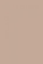 FARROW AND BALL DEAD SALMON NO. 28 PAINT